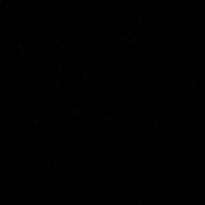 Meet your Posher, Addison